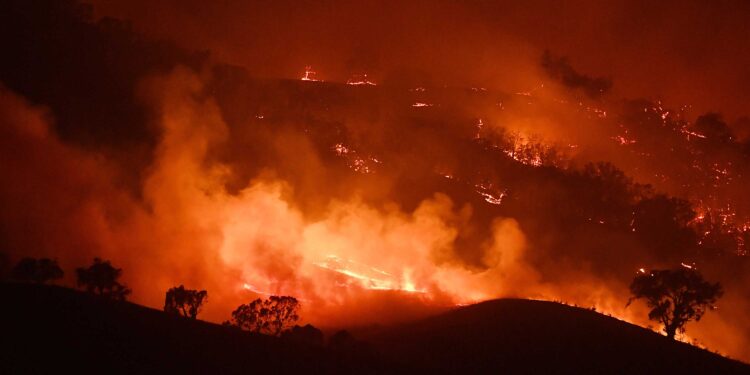 Covid-19, a vaccine for Climate Change?