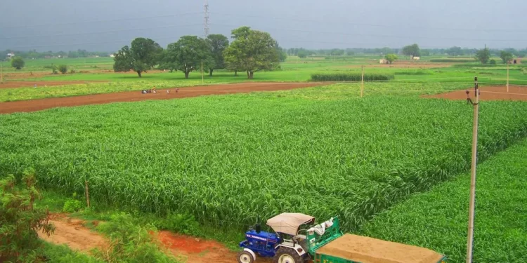 Agricultural Income Tax in Punjab, Pakistan in 2023
