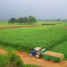 Agricultural Income Tax in Punjab, Pakistan in 2023