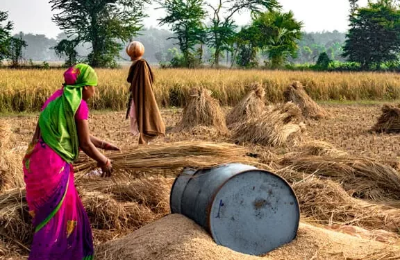 Agricultural tax in Punjab, Pakistan in 2023