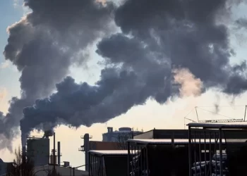 Pakistan’s policies lack mechanisms to tackle the Alarming pollution levels