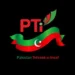 PTI Provincial Assembly Election Candidates for Punjab Announced; Check Complete Details Here