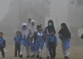 Will Punjab Extend Winter Vacations for Educational Institutions?
