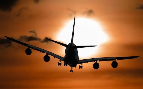 Illegal immigration: Here’s how many Pakistanis were deported in last 3 years