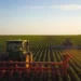 Deal Signed: Sindh Government to Start Corporate Farming