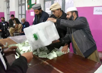 Election 2024 Live Results: Check Election Results for NA and PP Here