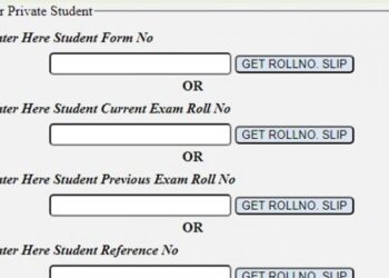 BISE Lahore Class 10 Roll Number Slip 2024