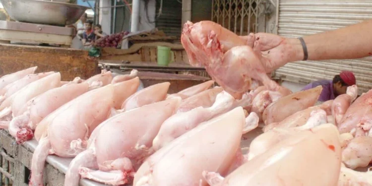 Chicken-Meat