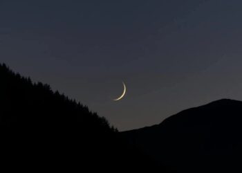 Govt employees likely to enjoy up to 6 holidays on Eidul Adha 2024