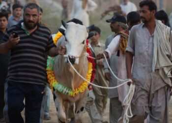 Eidul Adha 2024 holiday schedule for Punjab