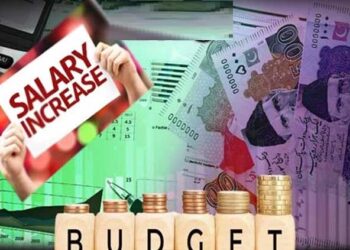 Budget 2025: Latest update about increase in salaries of government employees