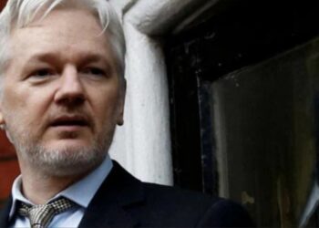 WikiLeaks founder Julian Assange released from UK prison after five years