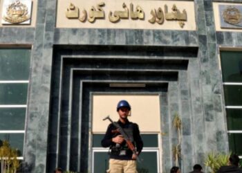 Petition submitted in PHC seeks permanent ban on TikTok