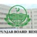 All Punjab boards 10th class result 2024 final date is here!