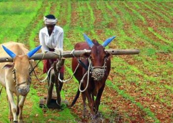 Kisan Card availability date revealed