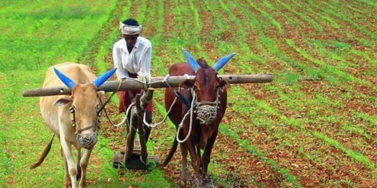 Kisan Card availability date revealed