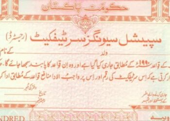Qaumi Bachat Bank profit rate for Special Savings Certificate [July 2024 Update]