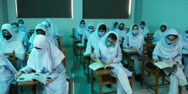 FSc Pre-Medical students can now apply in BS Engineering