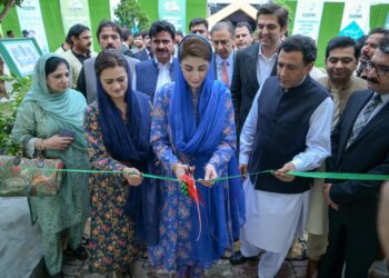 Here’s how to apply for Punjab govt’s Apni Chhat Apna Ghar scheme