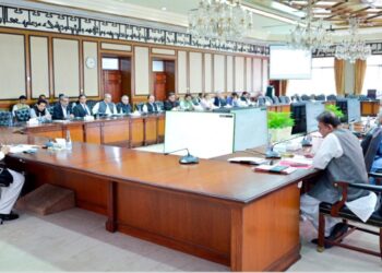 Cabinet body approves 24 SOEs for privatisation