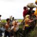 Dozens of Rohingya fleeing Myanmar killed in drone attack