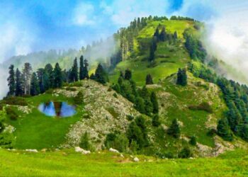 Punjab govt approves tourism package for Murree and Galyat