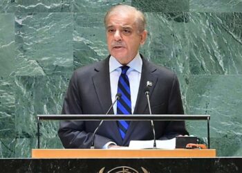 PM calls for global action on ‘fresh hell’ suffered by Palestinians, Kashmiris