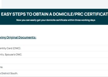 New digital domicile system for Karachi citizens introduced