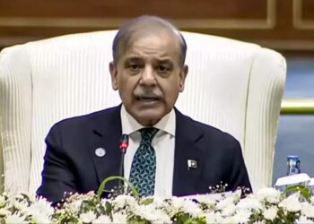 PM Shehbaz proposes common currency for SCO member states