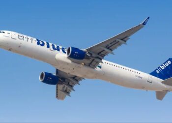 AirBlue flight makes safe landing after bird strike