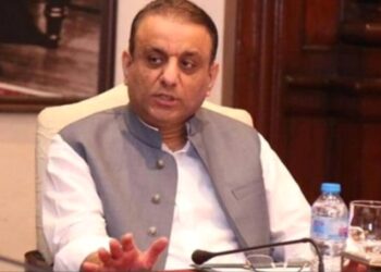 Minister allays concerns over PIA privatisation