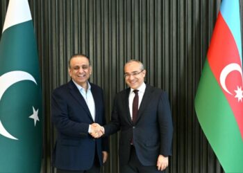 Aleem seeks Azerbaijan’s participation in PIA bid