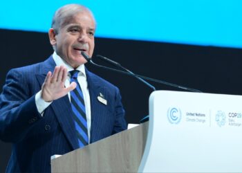 PM Shehbaz at COP29 links climate justice to resilience building