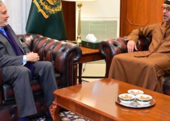 UAE streamlining visa process for Pakistanis: envoy