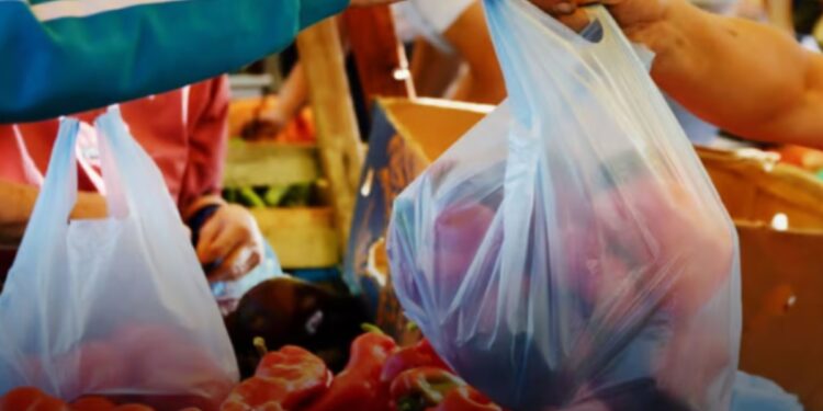 Punjab relaunches crackdown on plastic bags