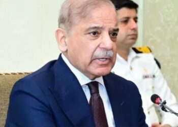 Foreign investors to get visas in 24 hours: PM Shehbaz
