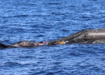 Pakistanis feared dead in Libya boat tragedy