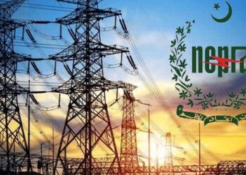 Consumers may get minor electricity relief