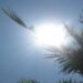 Hot spell continues in Lahore