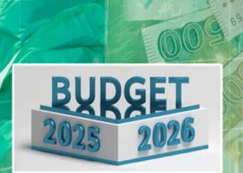 Govt considering tax relief in Budget 2025-26