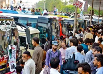 Bus and van fares increased by transporters