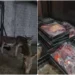 Authorities deny viral list of donkey meat restaurants