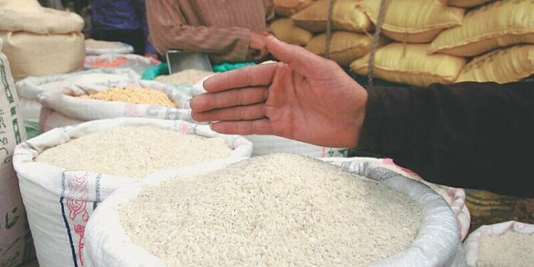 Pakistan’s rice exports decline by 15% in ongoing fiscal year