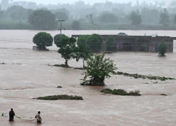 Punjab on high alert as heavy monsoon rains lash region