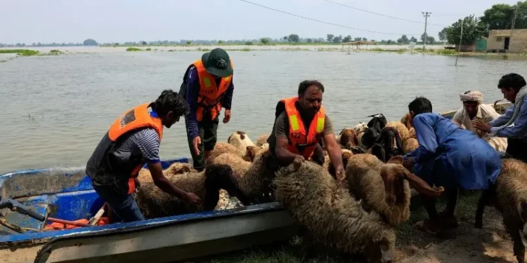 Flood threat grows in Punjab, 1.5 lakh people evacuated