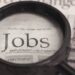 KP govt opens applications for new job vacancies
