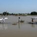Flood-hit areas may get Rs389bn package once IMF clears plan
