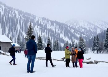 Travel advisory issued as heavy snow hits Murree