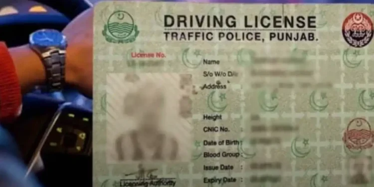 More learner and regular licenses issued than ever before