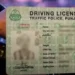 More learner and regular licenses issued than ever before